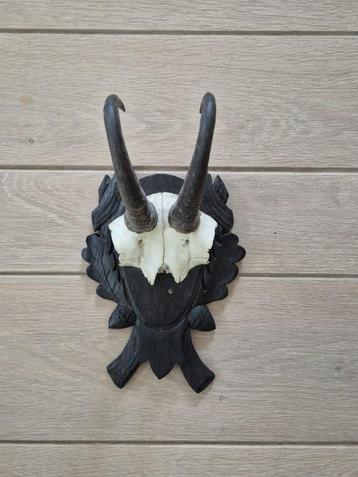 Mooie gems schedel met hoorns op schild Mancave Jacht c84 beschikbaar voor biedingen
