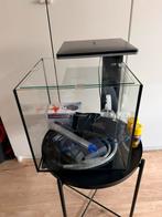 Complete aquarium 32x32x32, Ophalen, Zo goed als nieuw, Gevuld zoetwateraquarium