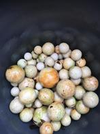 Verfmaalknikkers porselein verschillende maten ., Verzamelen, Overige Verzamelen, Ophalen, Gebruikt