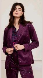 Fabienne Chapot Puck Velvet blazer/ jasje maat XS *nieuw *, Kleding | Dames, Fabienne Chapot, Ophalen of Verzenden, Nieuw, Jasje
