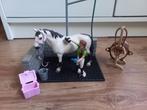 Schleich paarden wasplaats- 42104, Ophalen of Verzenden, Zo goed als nieuw