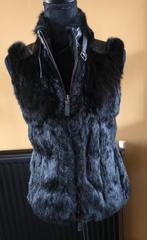 Riani bodywarmer gilet maat 36, Ophalen of Verzenden, Maat 36 (S), Gedragen, Riani