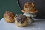 Taxidermie, Kogelvis #2 BLOSSOM BROCANTE, Ophalen of Verzenden, Gebruikt