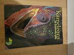 Kameleon boek. Nederlands, Boeken, Dieren en Huisdieren, Ophalen of Verzenden, Gelezen, Reptielen of Amfibieën