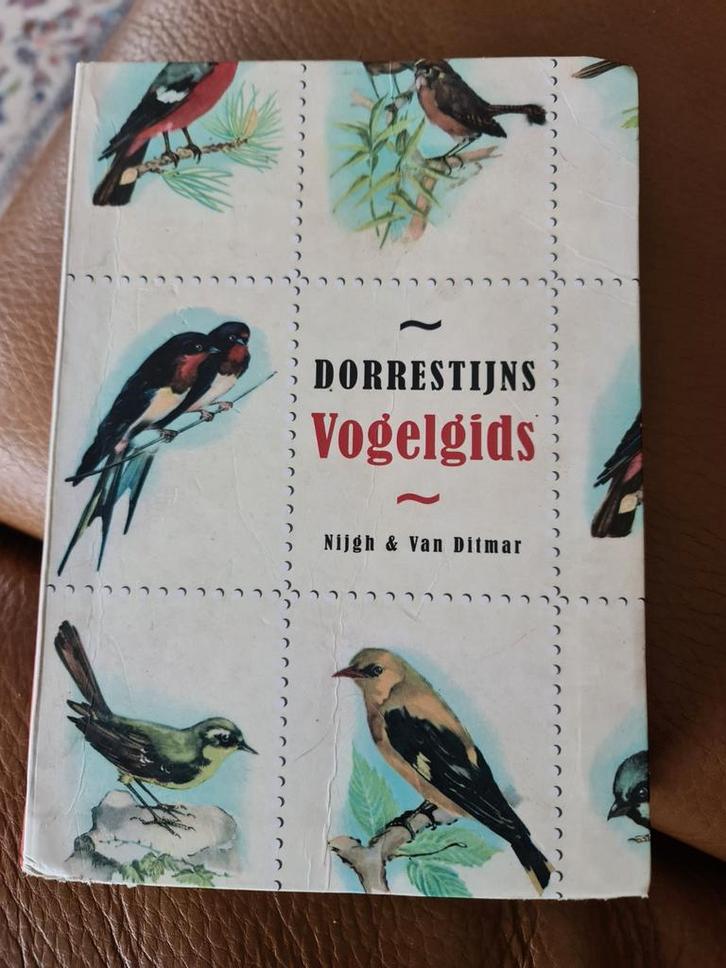 Hans Dorrestijn - Dorrestijns vogelgids, Boeken, Literatuur, Zo goed als nieuw, Ophalen of Verzenden