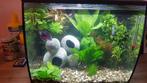 Fluval flex 34l aquarium, Ophalen, Gebruikt, Leeg aquarium