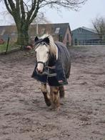 Hulp met inrijden/ doorrijden gezocht., Dieren en Toebehoren, Paarden en Pony's | Overige Paardenspullen, Ophalen, Overige soorten