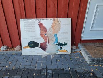 2cv poster. Origineel op bord eend in vogelvlucht beschikbaar voor biedingen