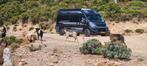 Citroën Jumper 2014  4 slaapplaatsen 180 PK incl stalling, Chemisch toilet, Buscamper of Camperbus, Fiat, Koelkast