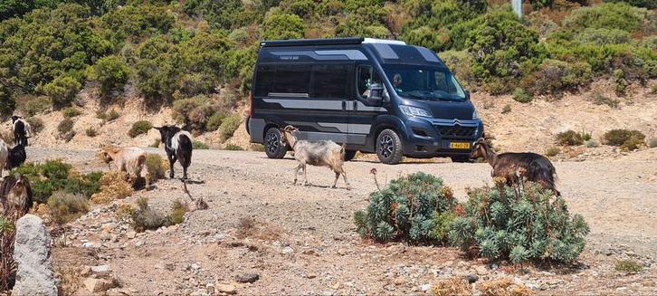 Citroën Jumper 2014  4 slaapplaatsen 180 PK incl stalling, Caravans en Kamperen, Campers, Particulier, tot en met 4, Buscamper of Camperbus