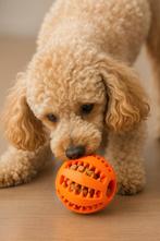 Oranje & ️ Rode Treat Balls — Interactieve Snackballen, Frederik hendrikstraat 124, Verzenden, Hondenballen, Nieuw