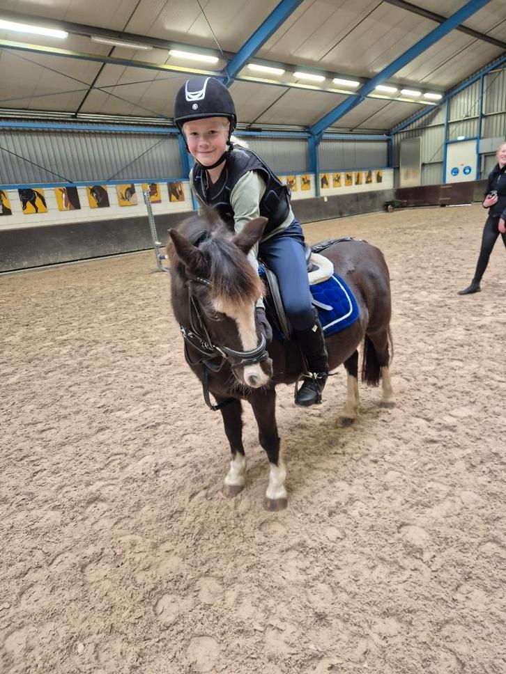 Lieve B-pony Namara, Dieren en Toebehoren, Pony's, Merrie, B, B pony (1.17m tot 1.27m), Springpony, 11 jaar of ouder, Met stamboom