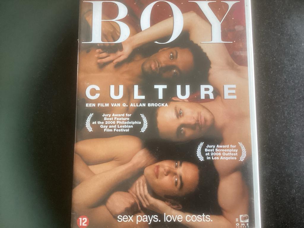 Boy Culture DVD - Q. Allan Brocka, Vanaf 12 jaar, Ophalen of Verzenden, Zo goed als nieuw