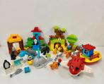 Dupko 10805 - Dieren van de Wereld | Grote set, Ophalen of Verzenden, Gebruikt, Duplo