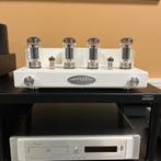 Fezz Audio Titania wit buizenversterker (occasion), Audio, Tv en Foto, Buizenversterkers, Versterker, Onbekend, Ophalen of Verzenden