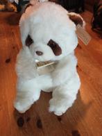 Anna Club Plush zeldzame albino raccoon wasbeer vintage, Verzamelen, Ophalen of Verzenden, Zo goed als nieuw