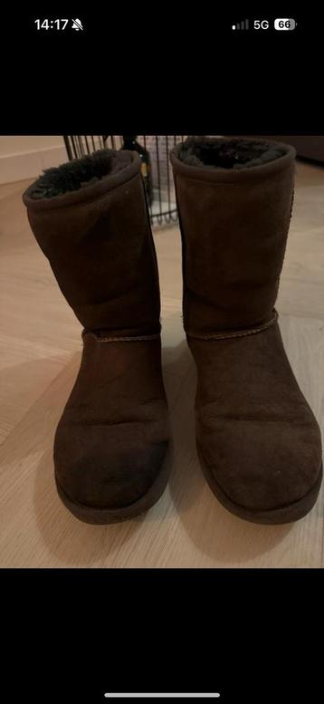 Originele Uggs bruin beschikbaar voor biedingen