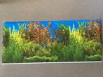 Aquarium poster, Dieren en Toebehoren, Ophalen of Verzenden, Zo goed als nieuw, Overige typen