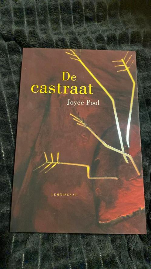 Joyce Pool - De castraat, Boeken, Kinderboeken | Jeugd | 13 jaar en ouder, Nieuw, Verzenden