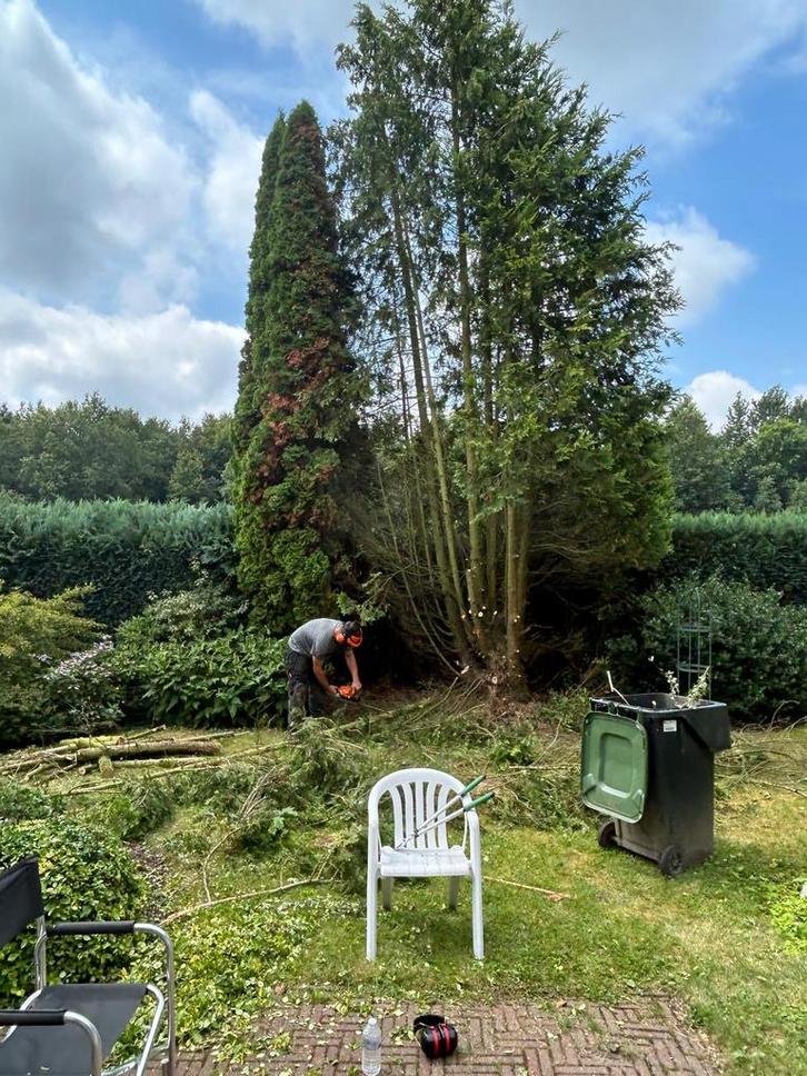 Hovenier aangeboden, Diensten en Vakmensen, Tuinmannen en Stratenmakers, Bestrating, Hekwerk of Schuttingen, Tuin- of Vijveraanleg