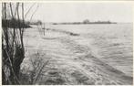 SCHOUWEN DUIVELAND Stormramp 1953 Boomgaarden Verwoest, Verzenden, 1940 tot 1960, Gelopen, Zeeland