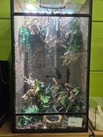 terrarium, Dieren en Toebehoren, Reptielen en Amfibieën | Toebehoren, Ophalen, Zo goed als nieuw, Terrarium of Paludarium