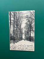 Oldenzaal - Straatweg de Lutte, Ophalen of Verzenden, Voor 1920, Gelopen, Overijssel