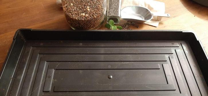 Kweektrays Open & Gesloten + Kweekmaterialen, Tuin en Terras, Kweekspullen, Zo goed als nieuw, Kweekbak, Verzenden