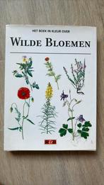 Podhajska - Boek in kleur over wilde bloemen, Ophalen of Verzenden, Zo goed als nieuw, Podhajska