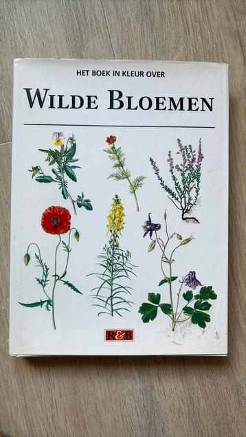 Podhajska - Boek in kleur over wilde bloemen beschikbaar voor biedingen