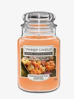 NIEUW Yankee Candle kaars, Overige materialen, Nieuw, Ophalen of Verzenden, Kaars