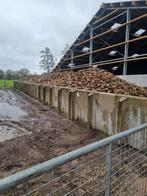 Voederbieten te koop, Ophalen of Verzenden