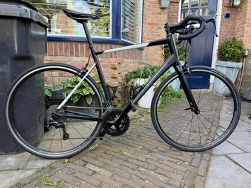 Cube Attain Racefiets (maat 60) beschikbaar voor biedingen
