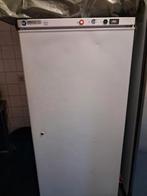 Vriezer (horeca), Witgoed en Apparatuur, Vriezers en Diepvrieskisten, Ophalen, Gebruikt, 60 tot 90 cm, 160 cm of meer