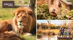 Entreetickets ZooParc te koop, Drie personen of meer, Ticket of Toegangskaart