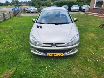 Peugeot 206 1.4 X-line 3D 2005 Grijs beschikbaar voor biedingen