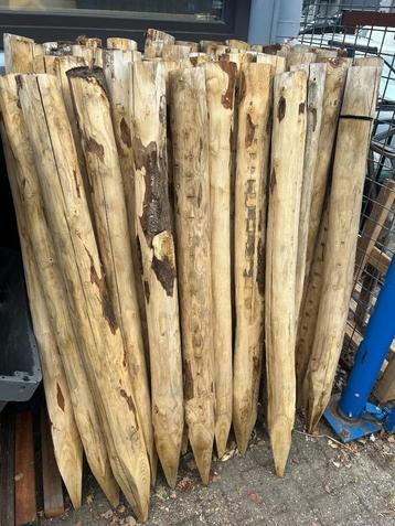 Kastanjehouten palen a 160cm lang (verschillende diameters) beschikbaar voor biedingen