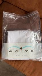 Nieuw Witte rijbroek maat 42/44, Dressuur, Dames, Nieuw, Onderkleding