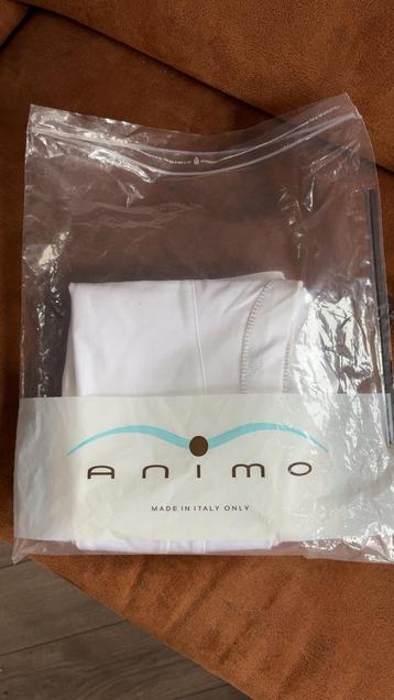 Nieuw Witte rijbroek maat 42/44 beschikbaar voor biedingen