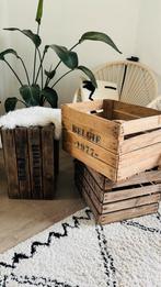Fruitkisten vintage, Huis en Inrichting, Woonaccessoires | Kisten, Ophalen, Gebruikt, 50 tot 100 cm, Minder dan 50 cm