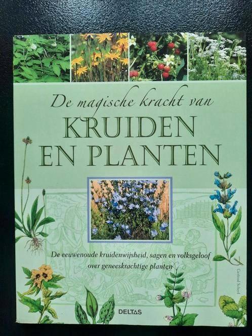 De magische kracht van kruiden en planten . Gertrud Scherf, Boeken, Gezondheid, Dieet en Voeding, Zo goed als nieuw, Kruiden en Alternatief