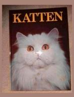 Katten - Angela Sayer, Ophalen of Verzenden, Zo goed als nieuw, Angela Sayer