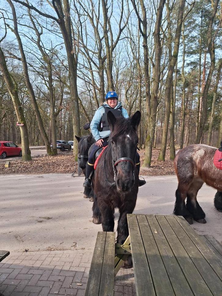 Bijrijdster aangeboden, Dieren en Toebehoren, Paarden en Pony's | Overige Paardenspullen, Nieuw, Overige soorten, Ophalen of Verzenden