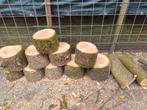 Haardhout boomstammetjes schijven blokken, Tuin en Terras, Haardhout, Minder dan 3 m³, Ophalen, Overige houtsoorten, Blokken