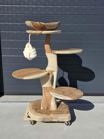 Super mooie krabpaal Nieuw beschikbaar voor biedingen