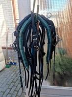 Compleet dravers tuig, Ophalen of Verzenden, Gebruikt, Overige soorten