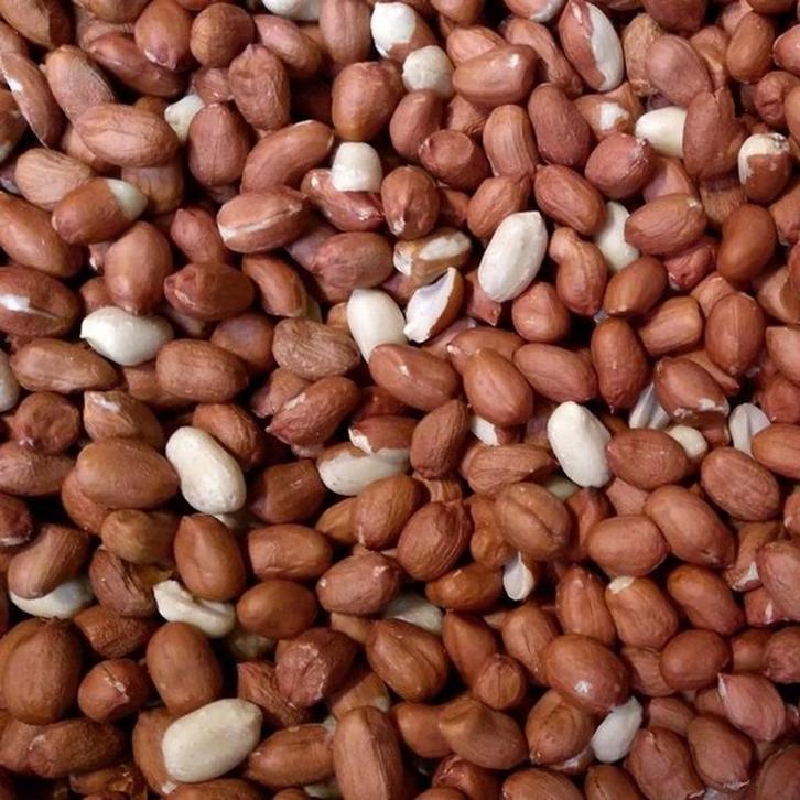 Pinda's 10kg - Buitenvogelvoer - Vogelvoer, Dieren en Toebehoren, Dierenvoeding, Vogel, Verzenden