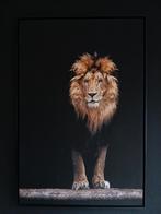 Leeuw in lijst, groot doek, canvas, foto, schilderij, Huis en Inrichting, Woonaccessoires | Wanddecoraties, Ophalen of Verzenden