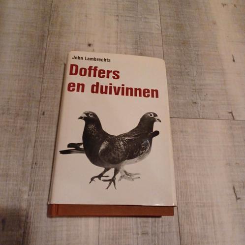 Postduivenboek Doffers en Duivinnen., Dieren en Toebehoren, Vogels | Duiven, Postduif, Meerdere dieren