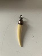 Haaientand hanger, Sieraden, Tassen en Uiterlijk, Ophalen of Verzenden, Gebruikt, Zilver, Overige materialen